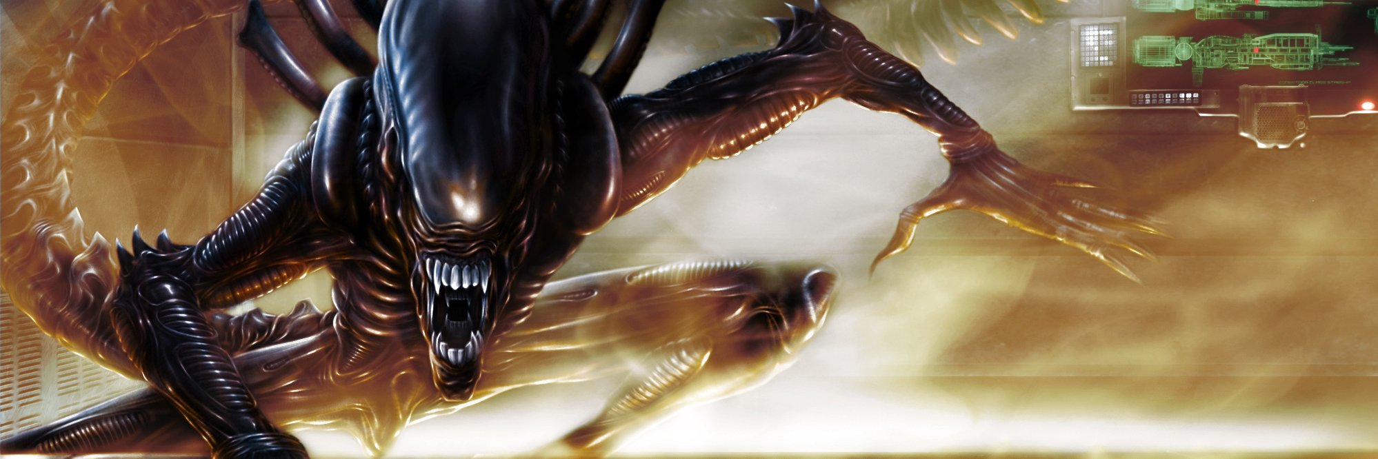 AlonsoSaez2002's profile banner image
