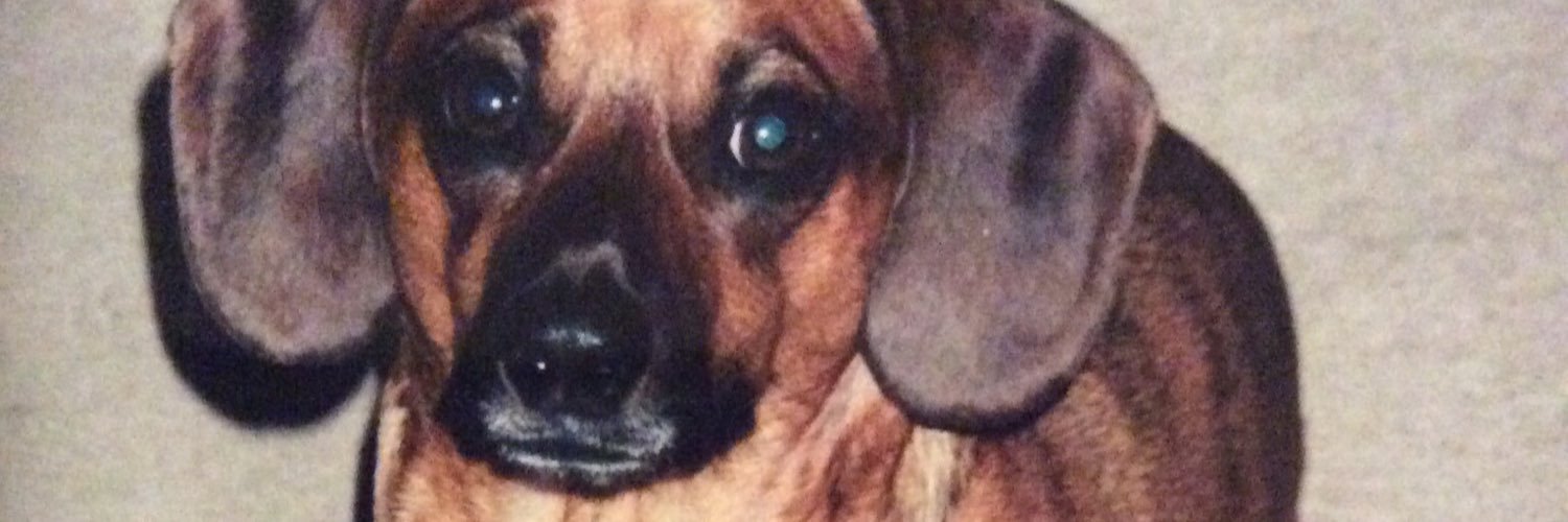 Buckaroo1199's profile banner image