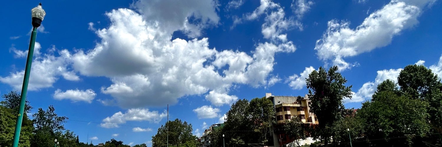 mugiwara no mime banner