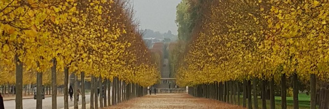 عبدالله العمران banner