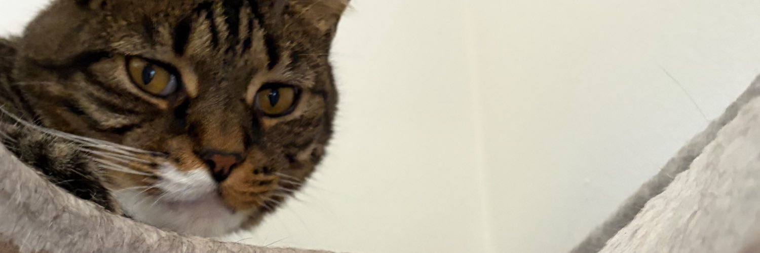 _braedin's profile banner image