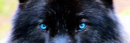 vasja_romanow's profile banner image
