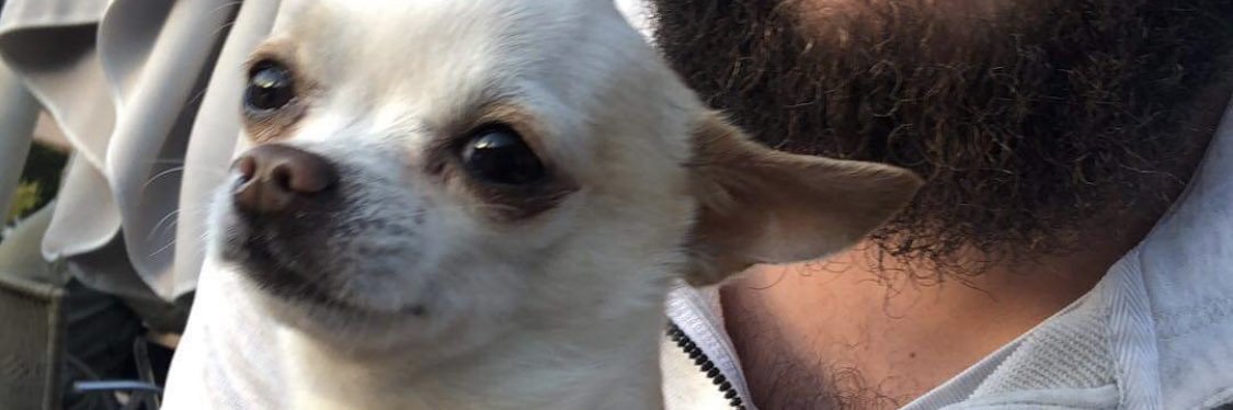 Adrien Costard banner