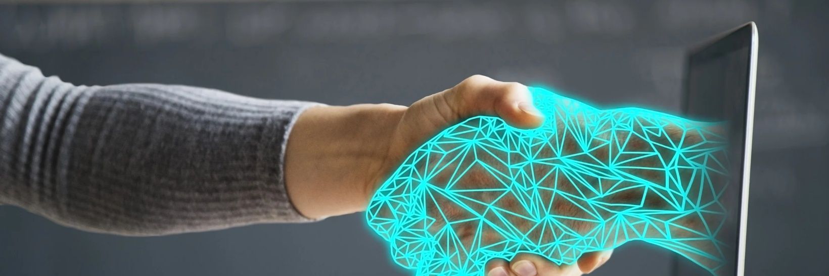 Faroug Ismail banner