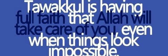 ayub4peace's profile banner image