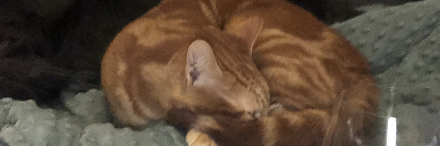 TheKipeMan's profile banner image