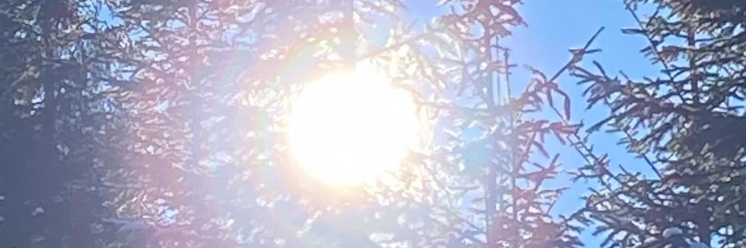 h_schilcher's profile banner image