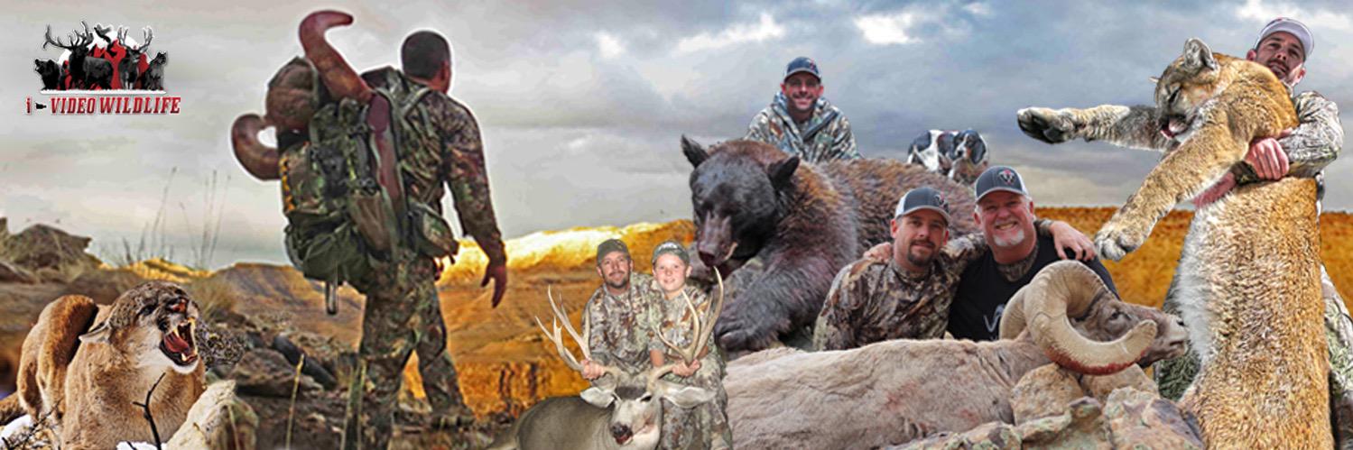 iVideoWildlife's profile banner image