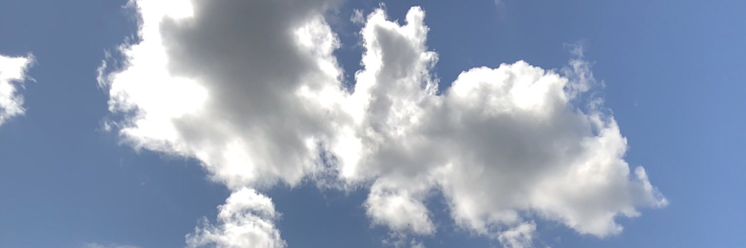 totoooool's profile banner image