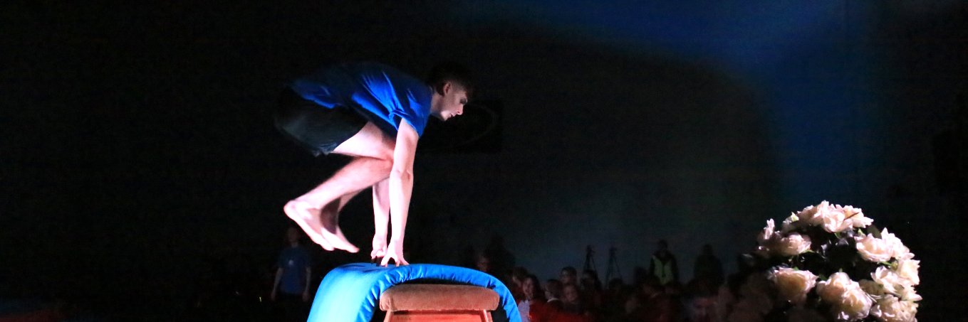 St Vincent Sport banner