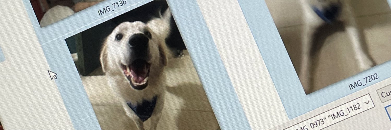 cesstamers's profile banner image