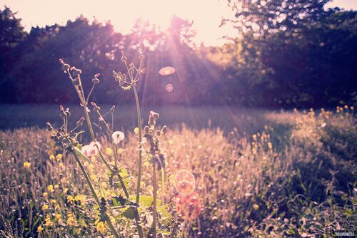 estherisme's profile banner image