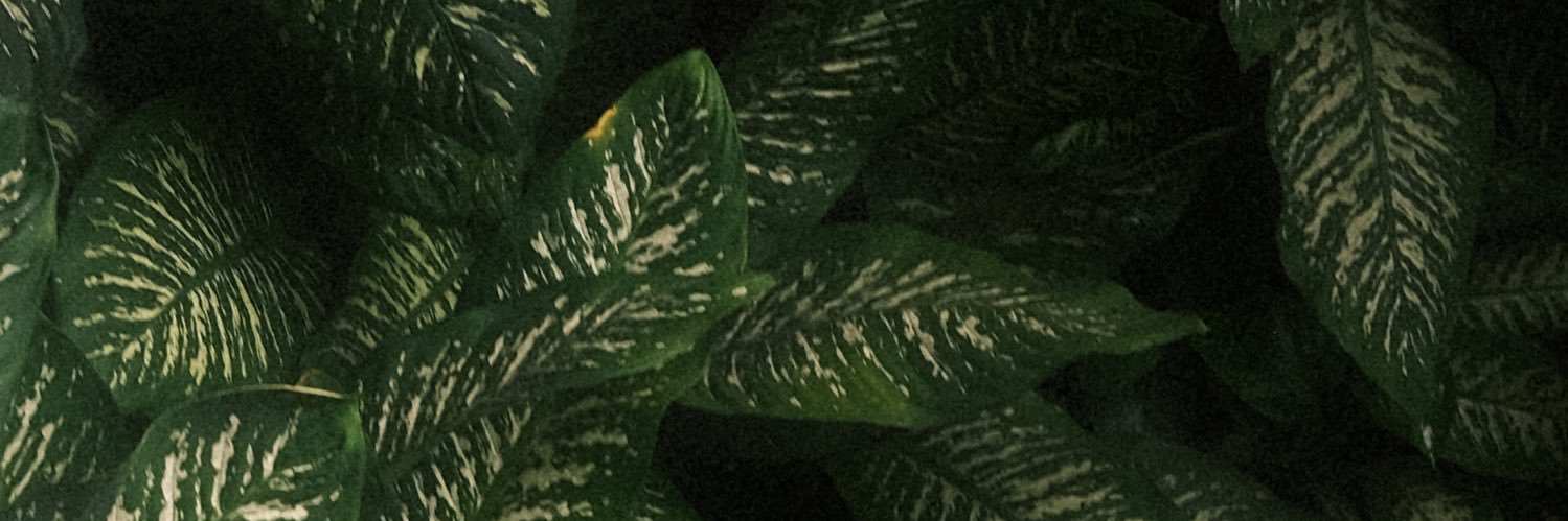 YesChefAngel's profile banner image