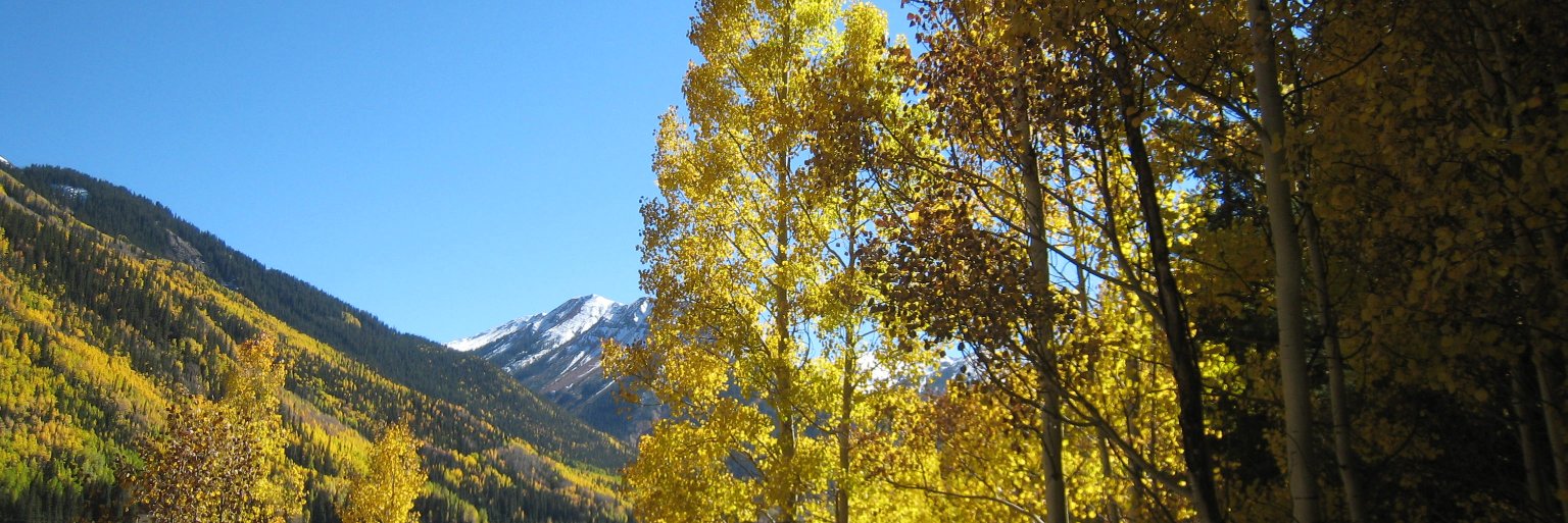 durangoforex's profile banner image