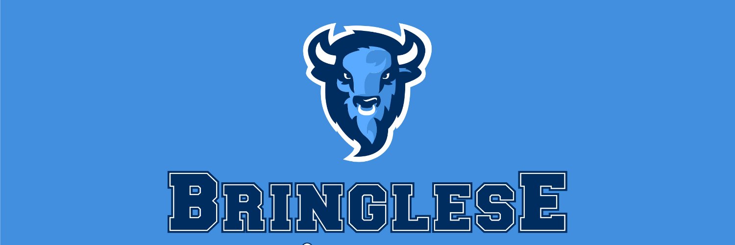 Bringlese's profile banner image