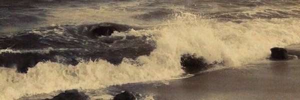 ningninyg Profile Banner