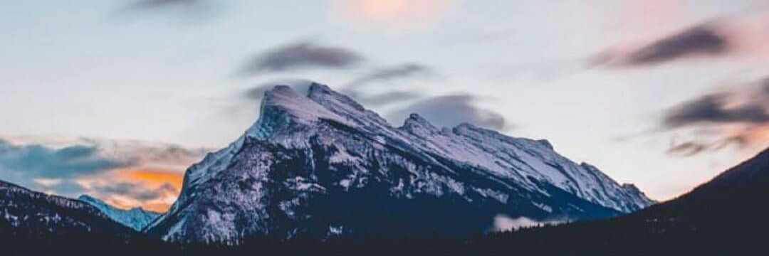 def_1011's profile banner image