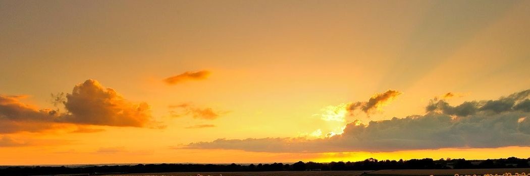 cmmccarty7's profile banner image