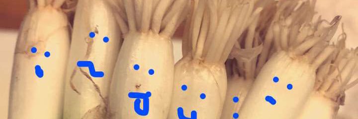 beongsong95's profile banner image