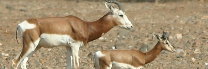 RazackMoussa87's profile banner image