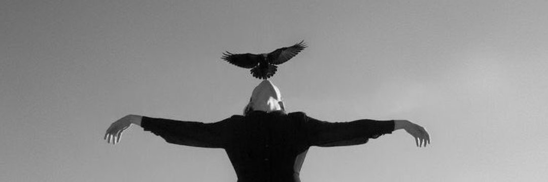 _ii8__'s profile banner image