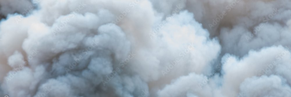 Chris Dankland banner