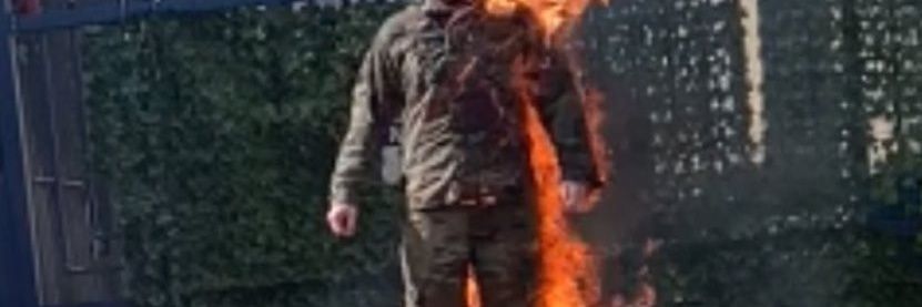 O-T-T-T-O-G-O banner