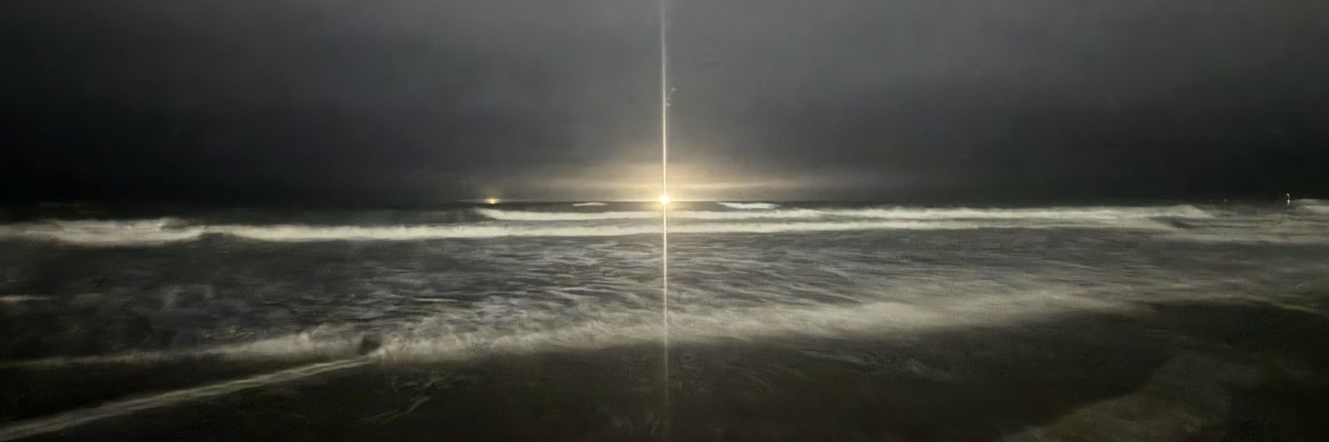 slvrantho's profile banner image