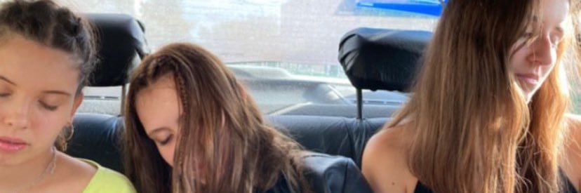 delfinamari_'s profile banner image