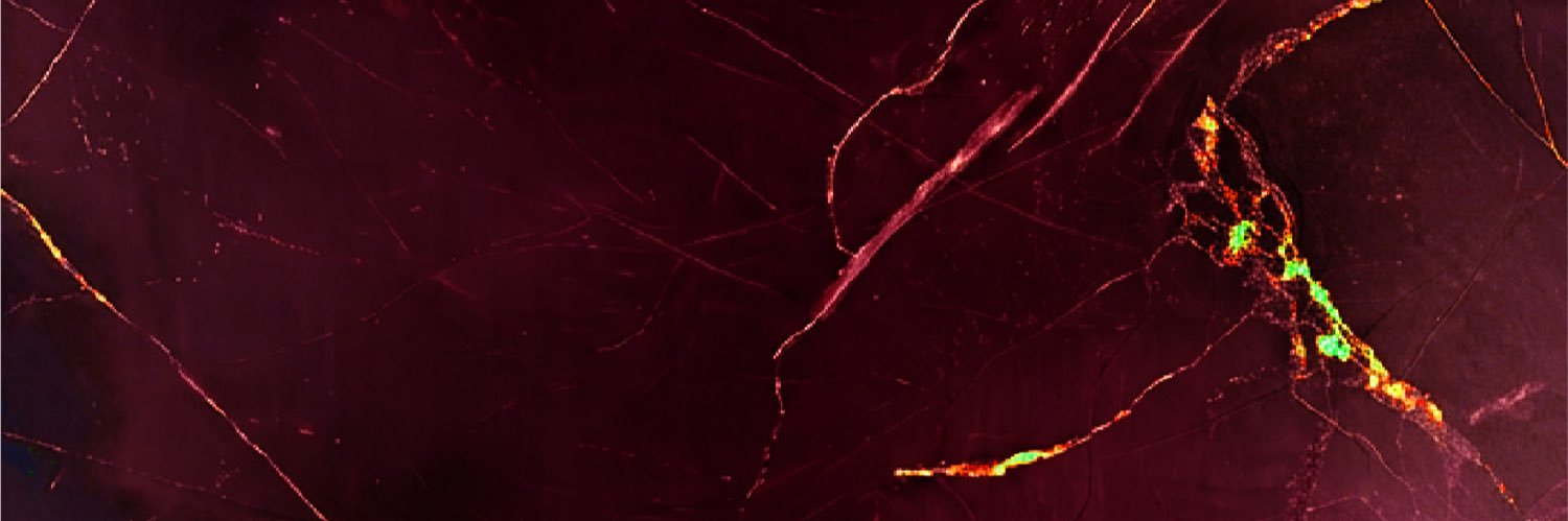 docebow's profile banner image