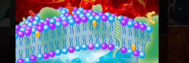 VoteForMembrane's profile banner image