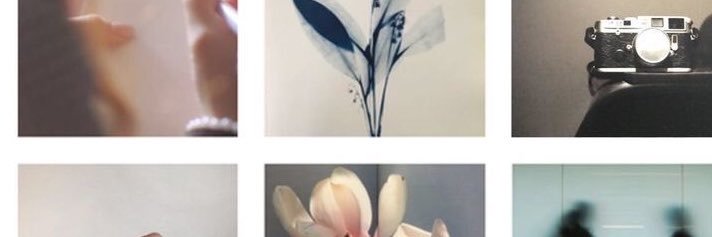 Art banner