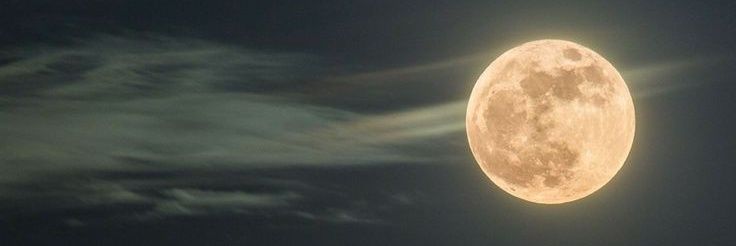 iaritamorel's profile banner image