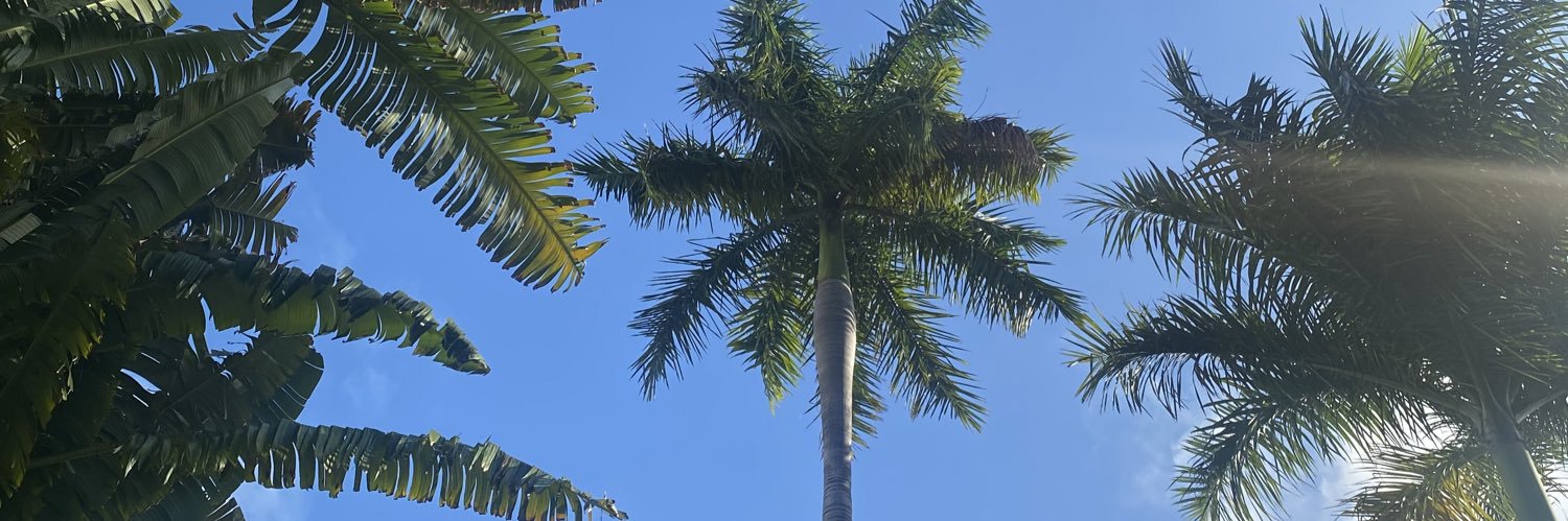 bmckayd's profile banner image