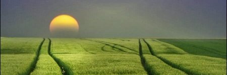 uibrahium's profile banner image