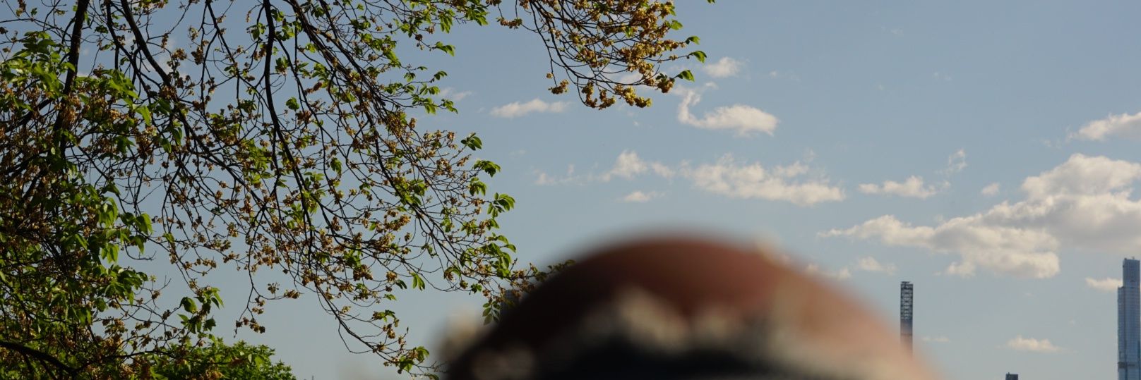 JzaVibe_'s profile banner image