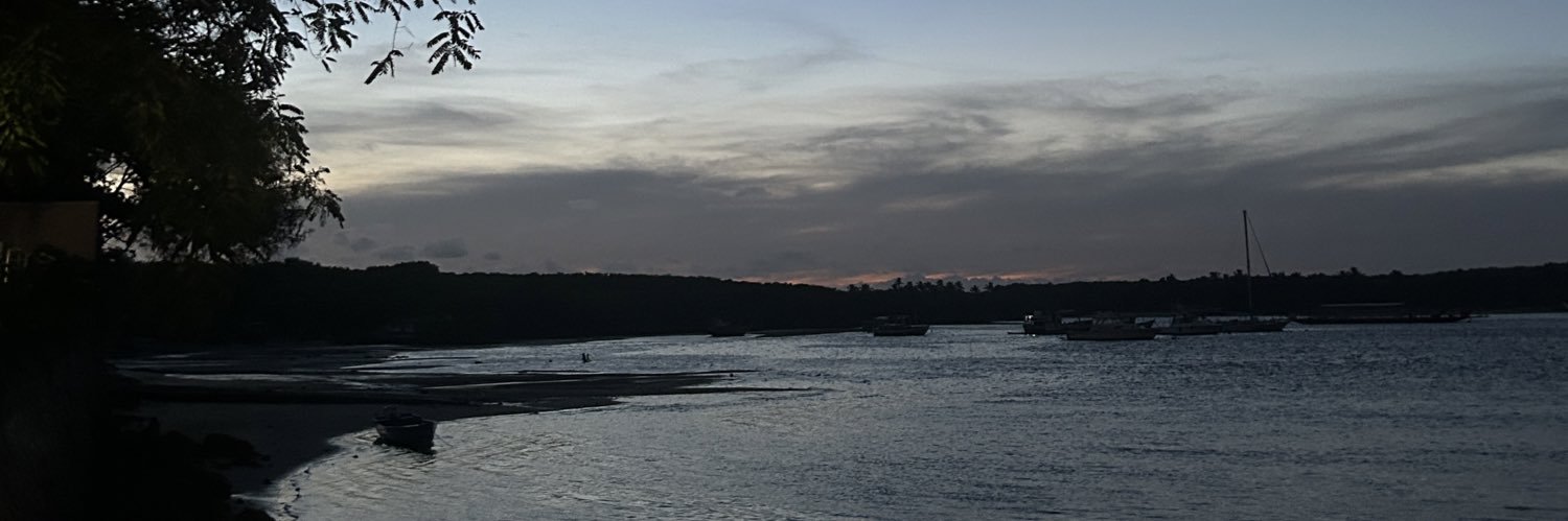 larisssnt's profile banner image