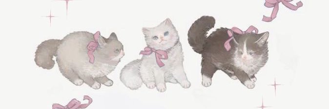 kintaaannp's profile banner image