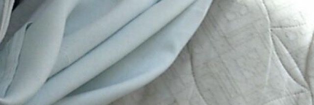 ALostPup's profile banner image