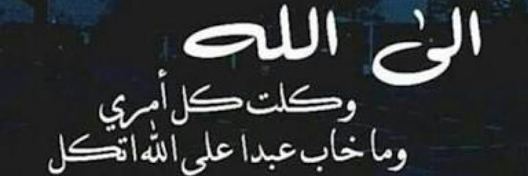 AhmedAref8231's profile banner image