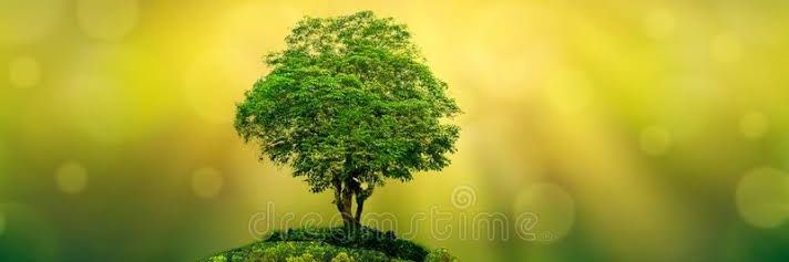 Pinku_78's profile banner image