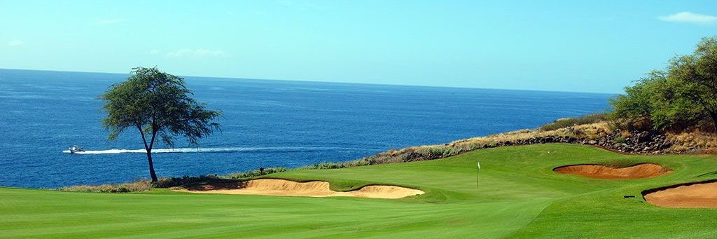 awesome_courses's profile banner image