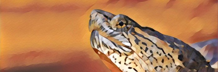 TaskForceTurtle's profile banner image