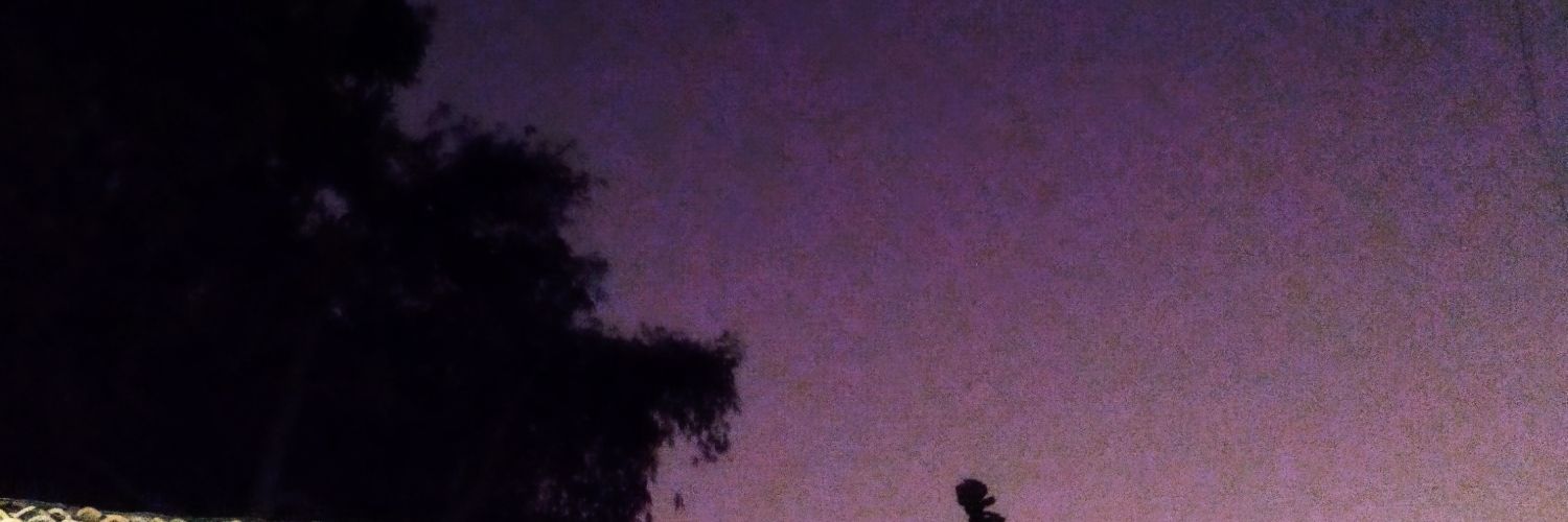 Wulann_04's profile banner image