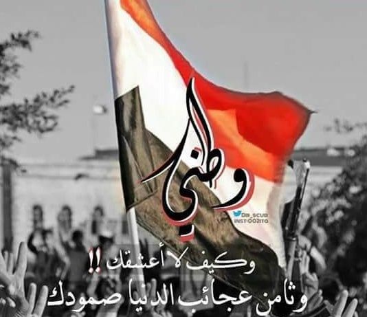 HOS775's profile banner image
