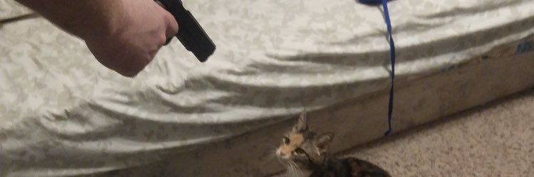hottdogg_'s profile banner image
