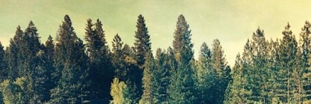 jmata313's profile banner image