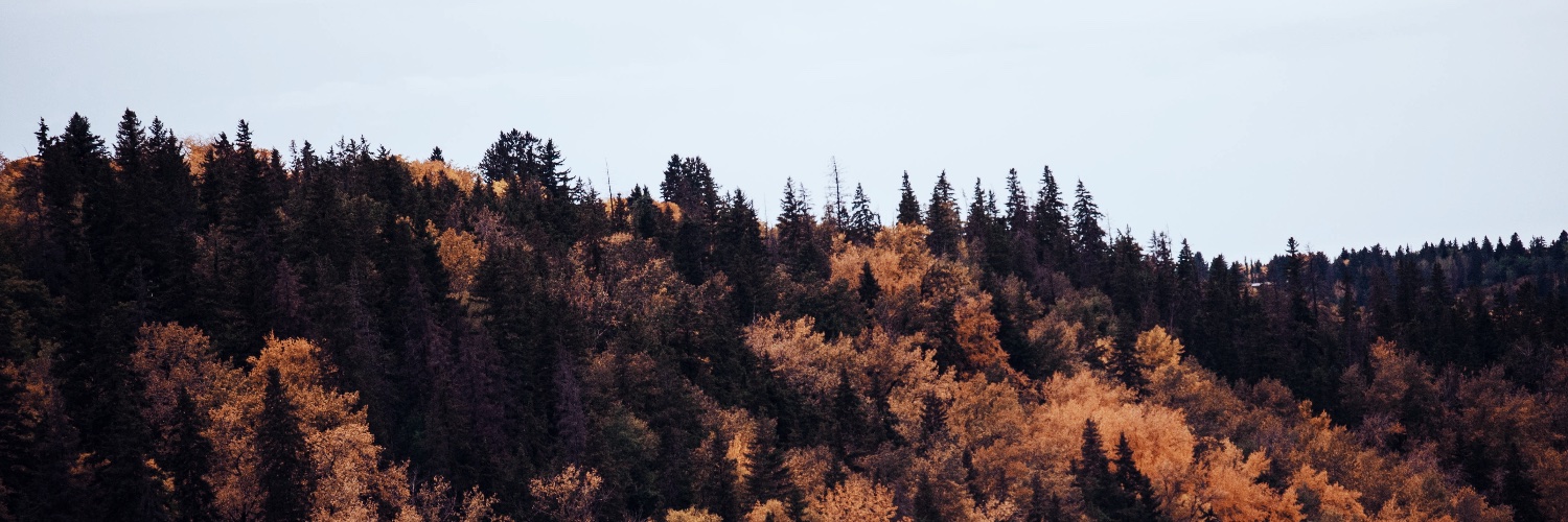 laurafurman's profile banner image