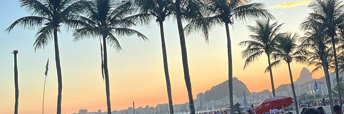 luanalomardo's profile banner image