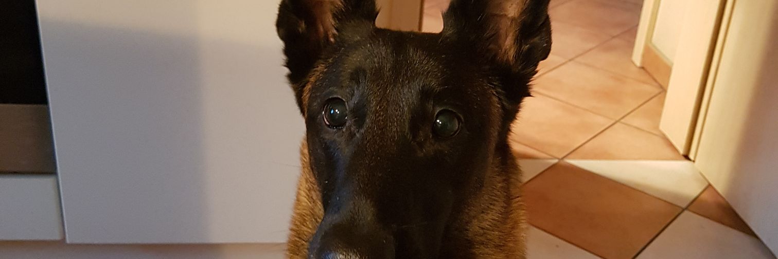 CaptainHendrik's profile banner image